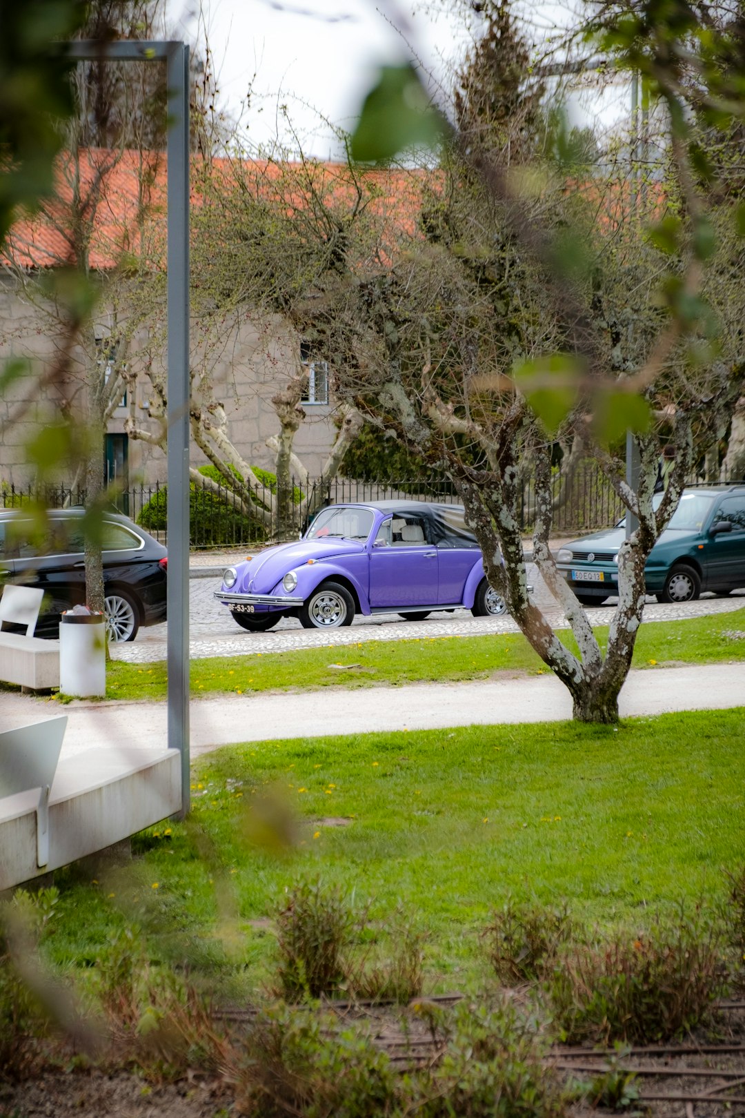 services-img Purple beetle